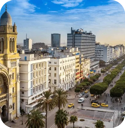 GI à l'international